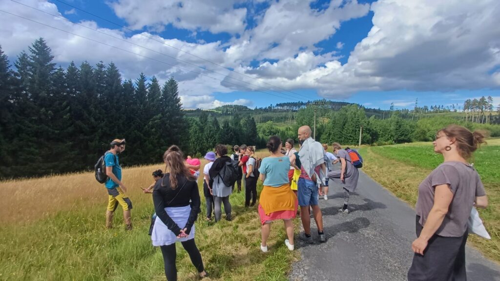 d5b2363f-c5df-4d07-b6e5-d18b1139e324 (1)